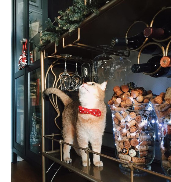 Мебель из металла