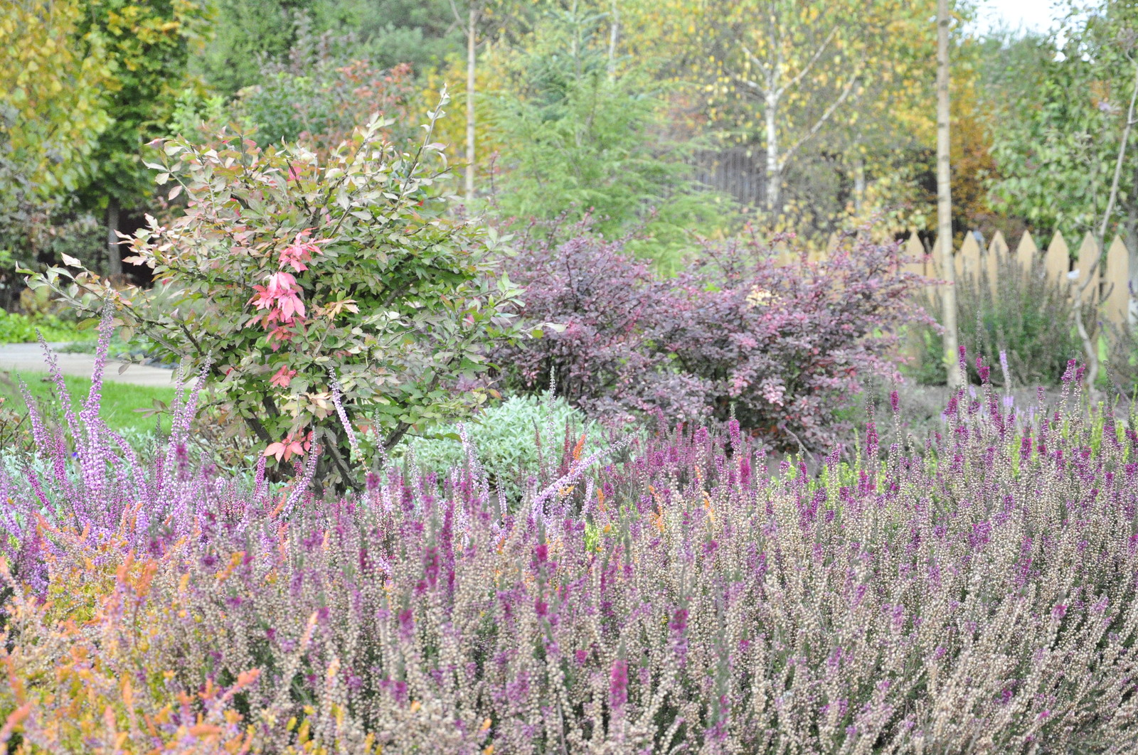 д. Коровино - Уход за садом - 100% качество