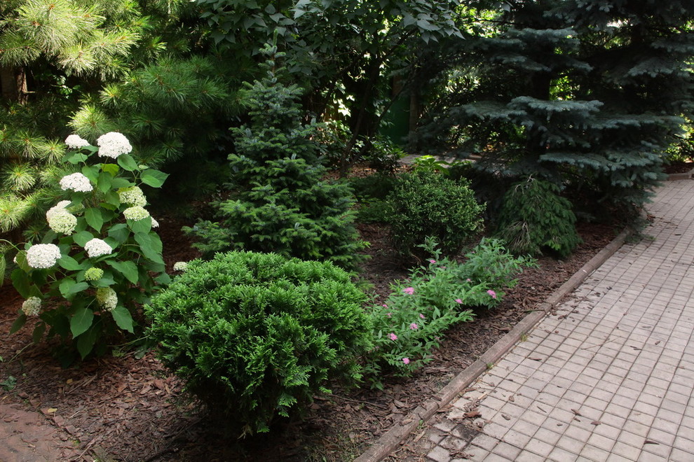 Ильинка. Реконструкция сада