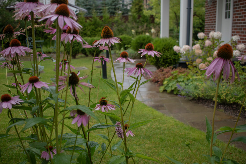 Реализация проекта частного участка в Репино