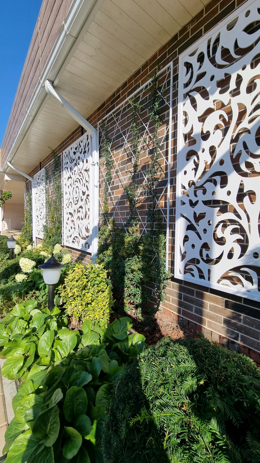 Обложка альбома: МойДомик