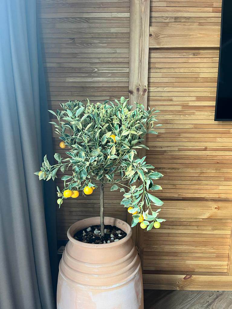 Горшки под деревья для конференц-зала частной усадьбы