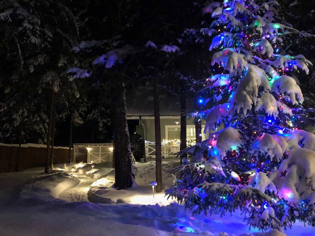 Обложка проекта: Ландшафтное освещение