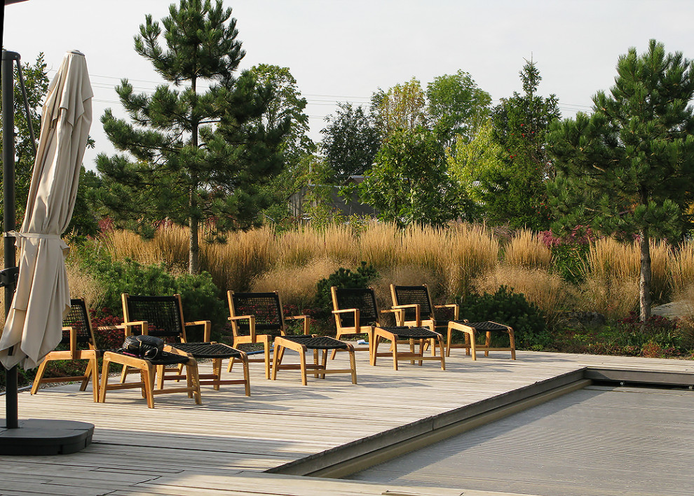 Houzz Белоруссия: Сад в тумане