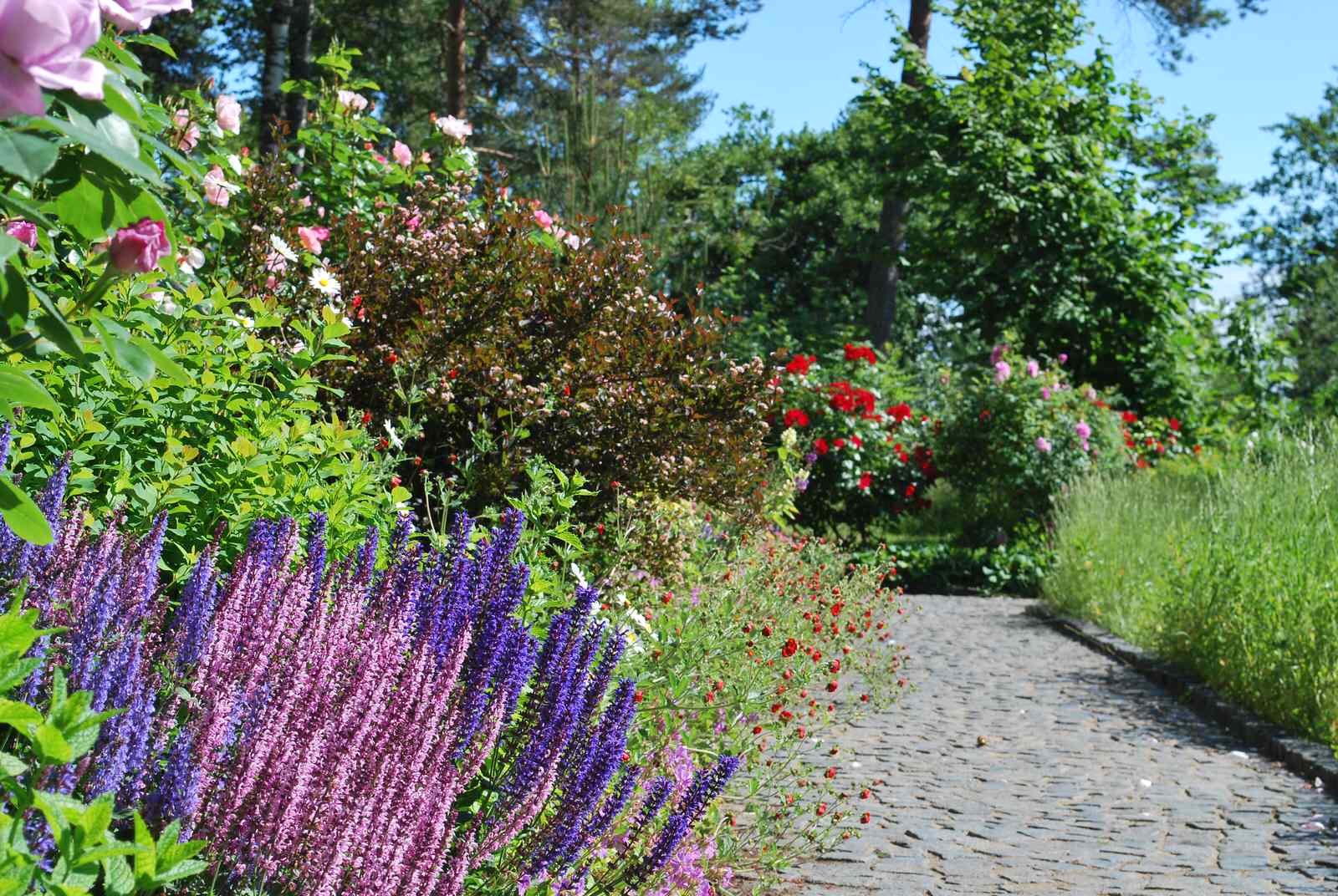 Сад натуралистического стиля