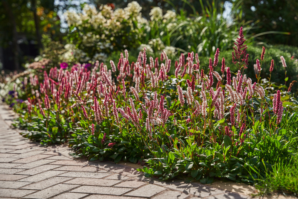 Сад в розовой дымке