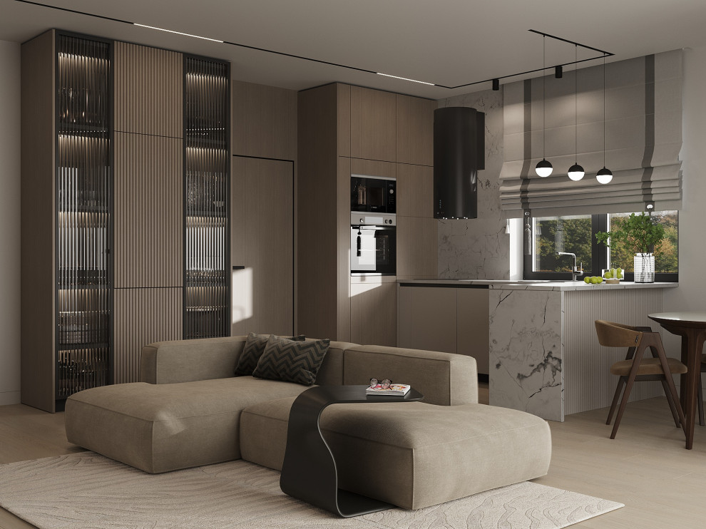 Обложка проекта: Кухня-гостиная в частном доме