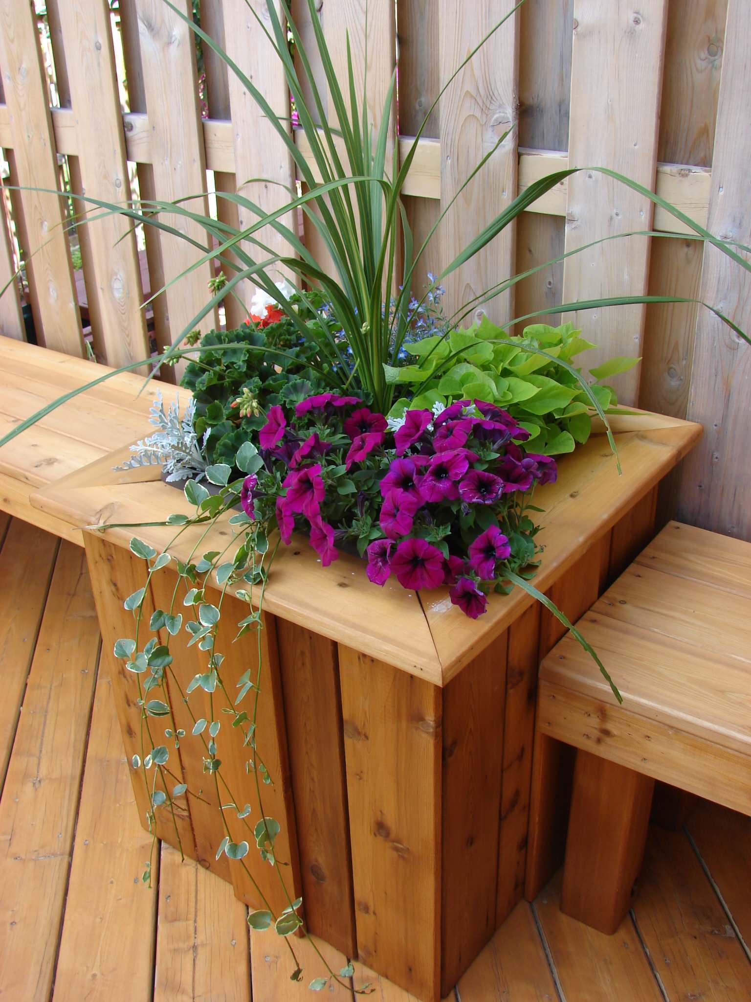 Семеро по лавкам: Садовые скамейки и все, что нужно о них знать