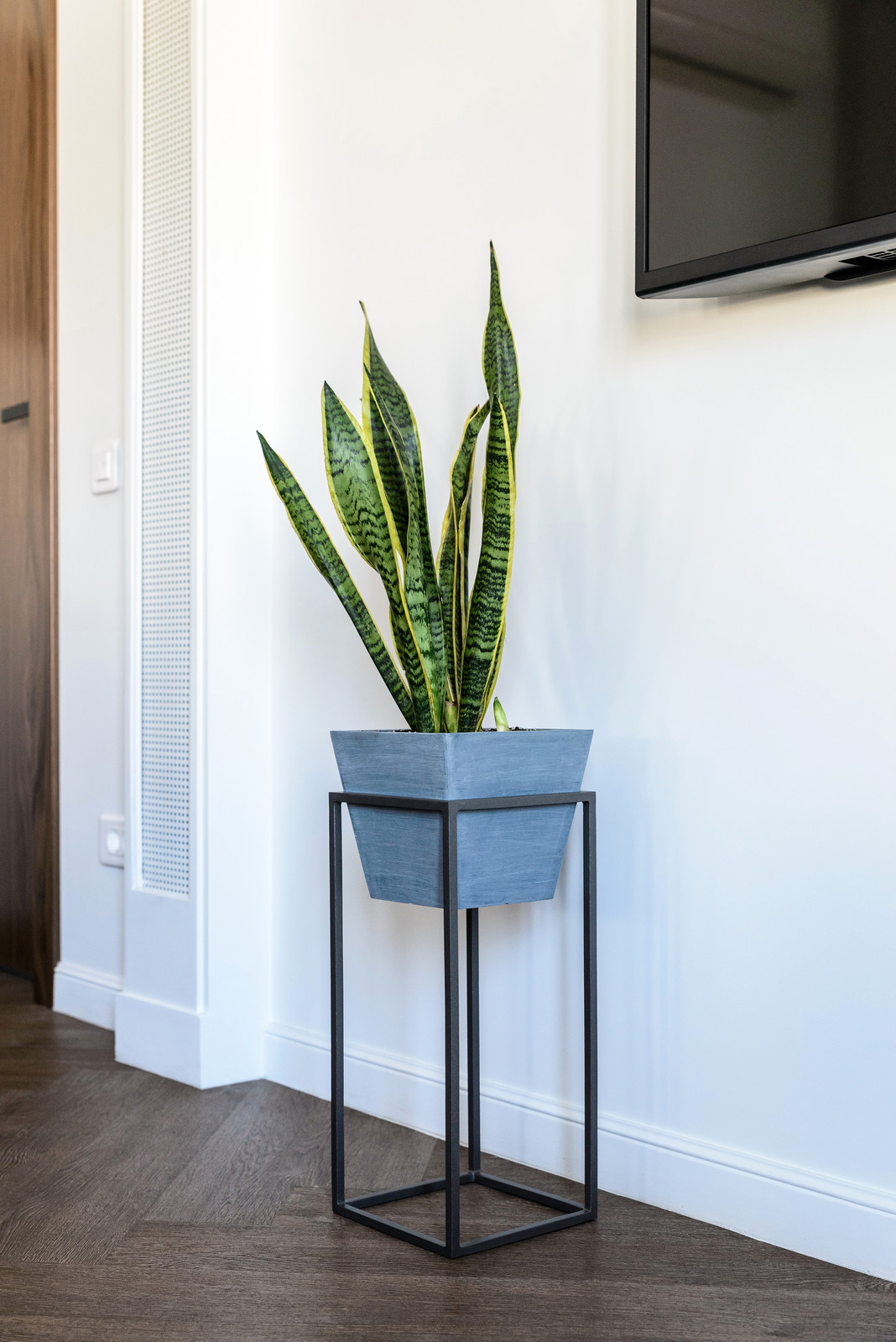 Озеленение холла помещения и кабинета руководителя