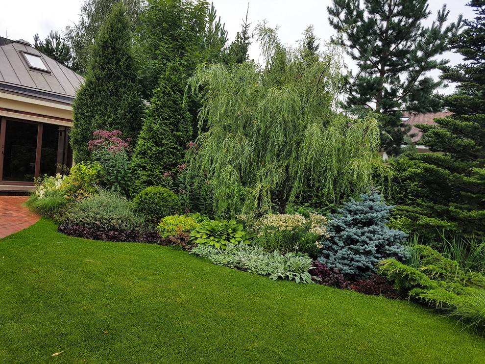 Сад с аурой