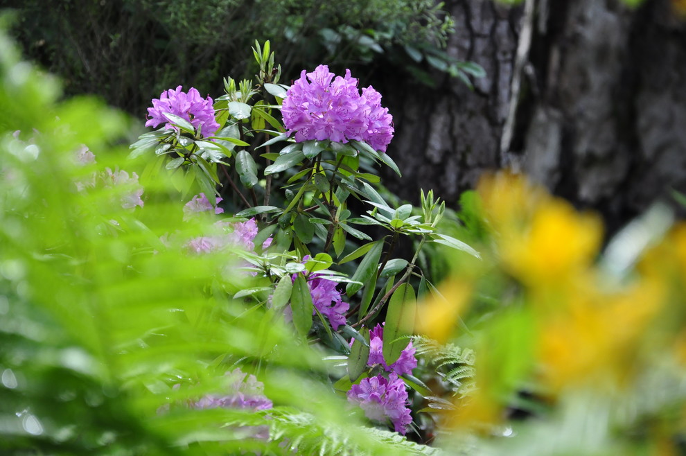 кп. "Архангельское" - Уход за садом - 100% качество!