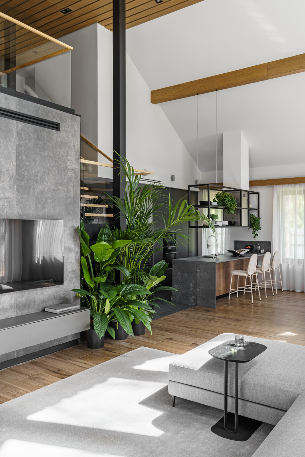 Скандинавский дом в Комарово