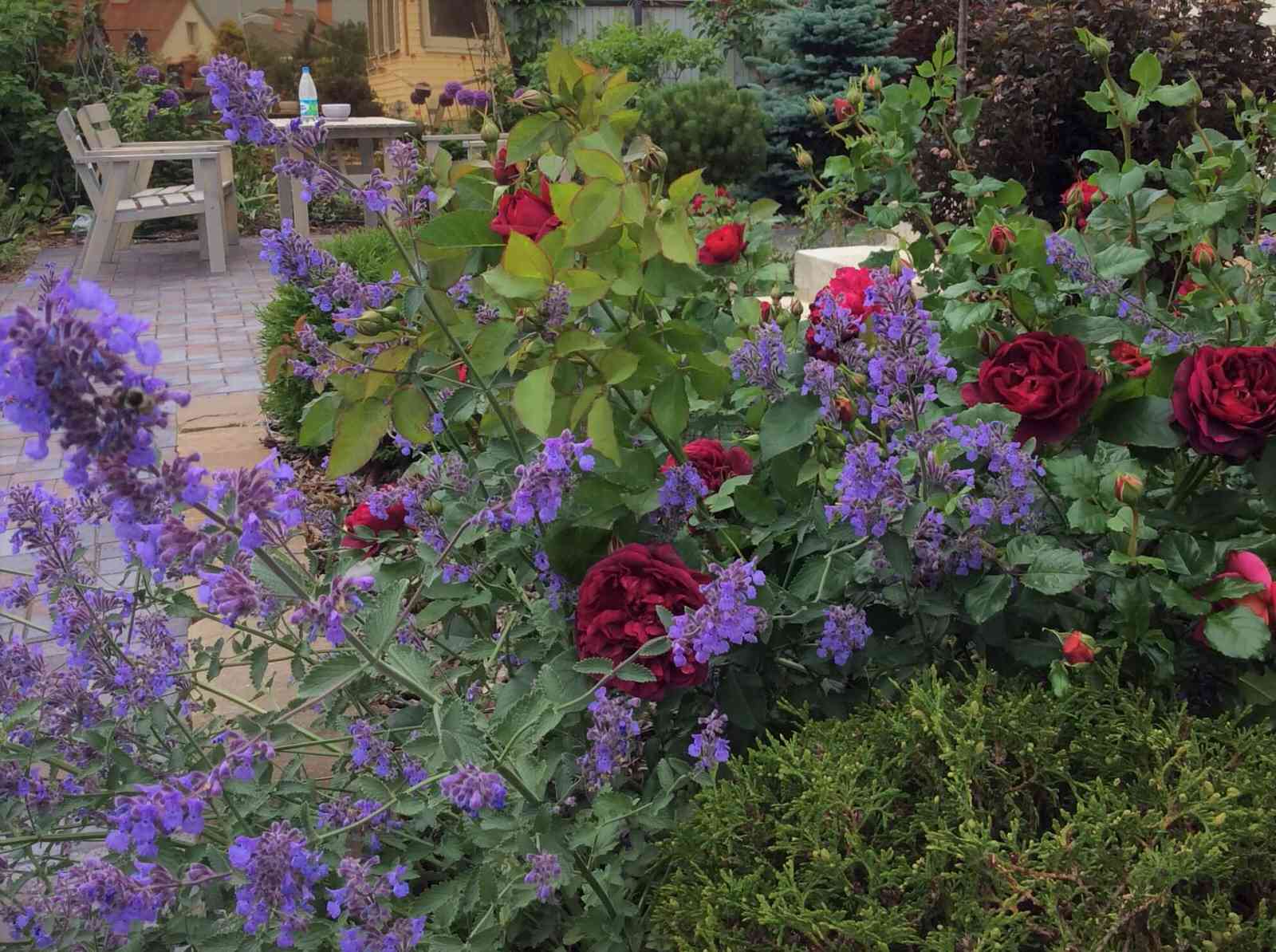 СНЫ О ЧЕМ_ТО БОЛЬШЕМ...