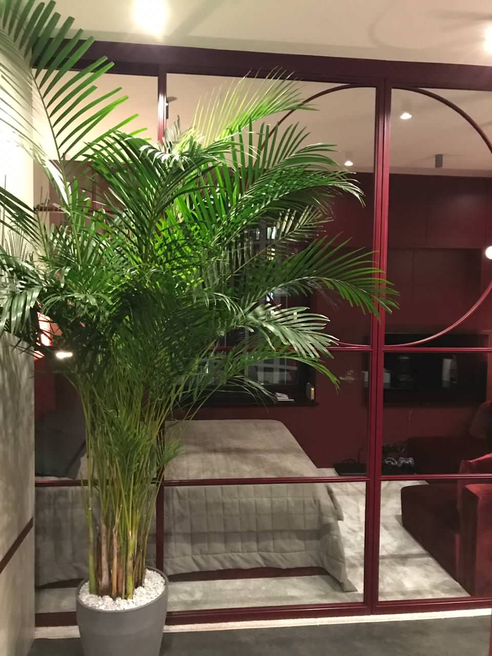 Катерина Шахманова