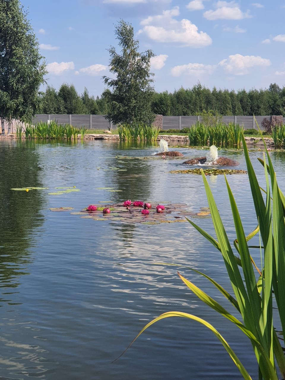 Декоративный водоём в п. Репино (Лен. обл.)