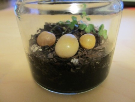 Своими руками: Как сделать флорариум