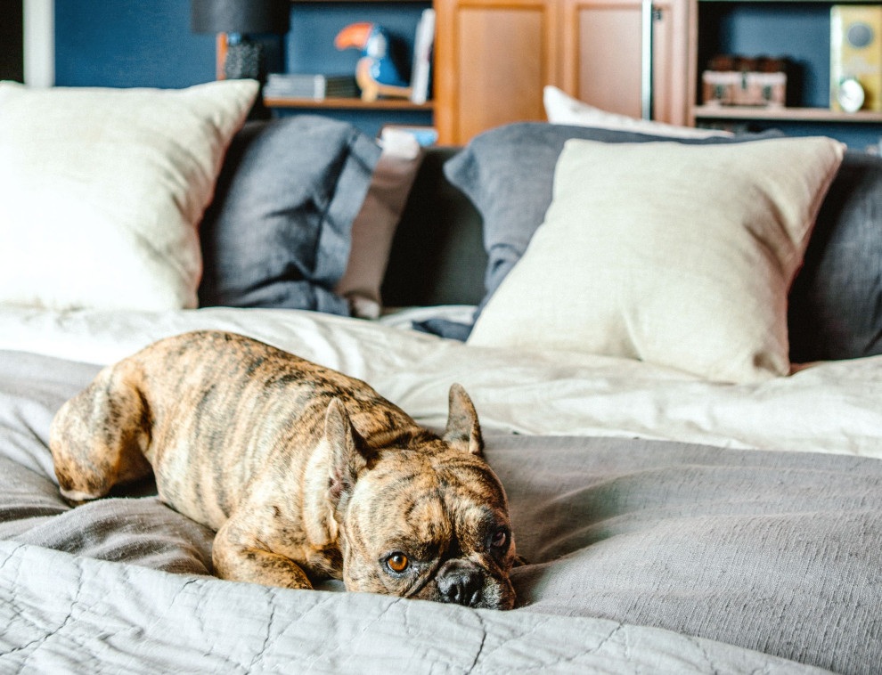 Houzz call: А как вы проводите время дома в самоизоляции?