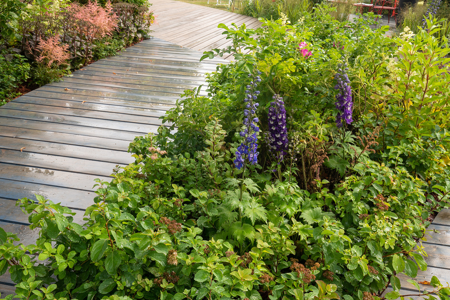 Обложка проекта: Фотосъемка Сада по сказке СиняяПтица на MFS 2019 Авторы М,Береснева М. ПРИНТЦ