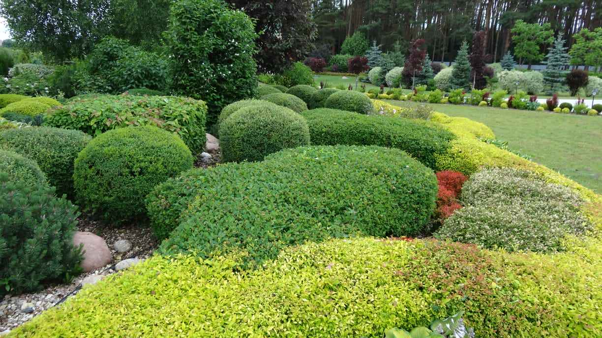 Примеры работ