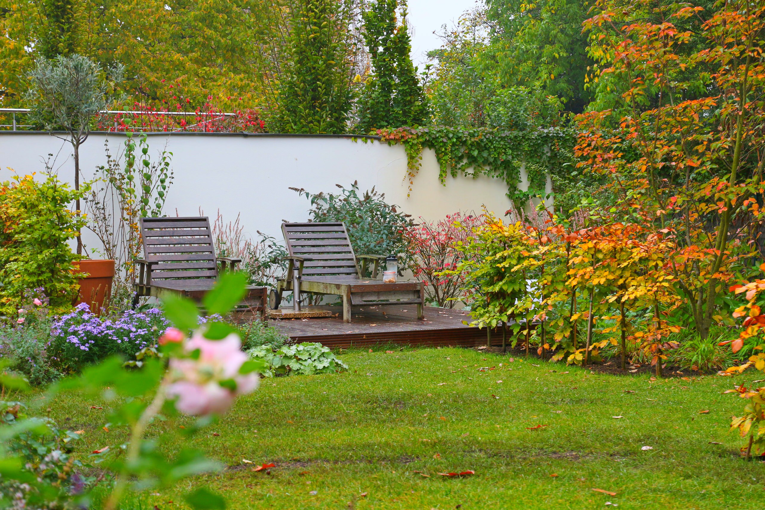 Houzz тур: Маленький сад для четырех сезонов