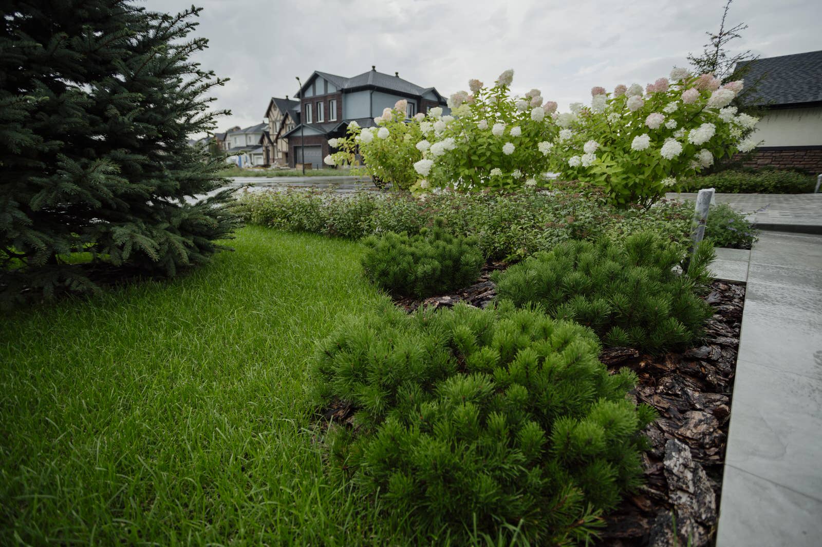 КП «Новые Вешки»