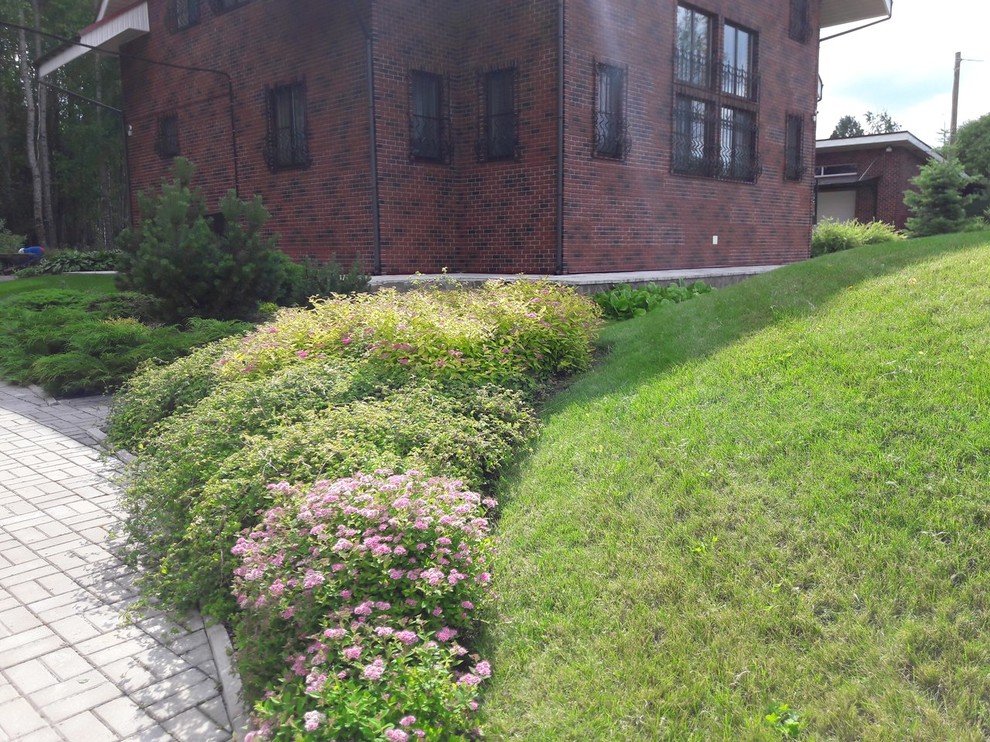 Сад  на холмах