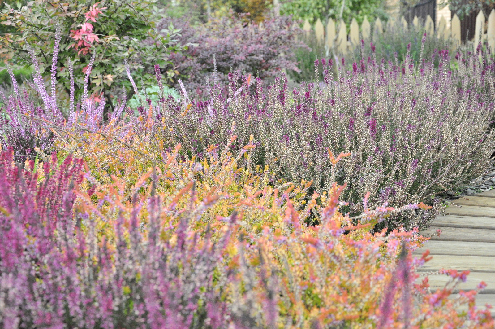 д. Коровино - Уход за садом - 100% качество