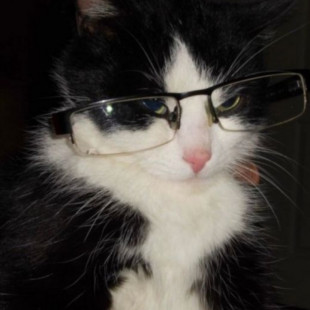 Лілія Сліпченко