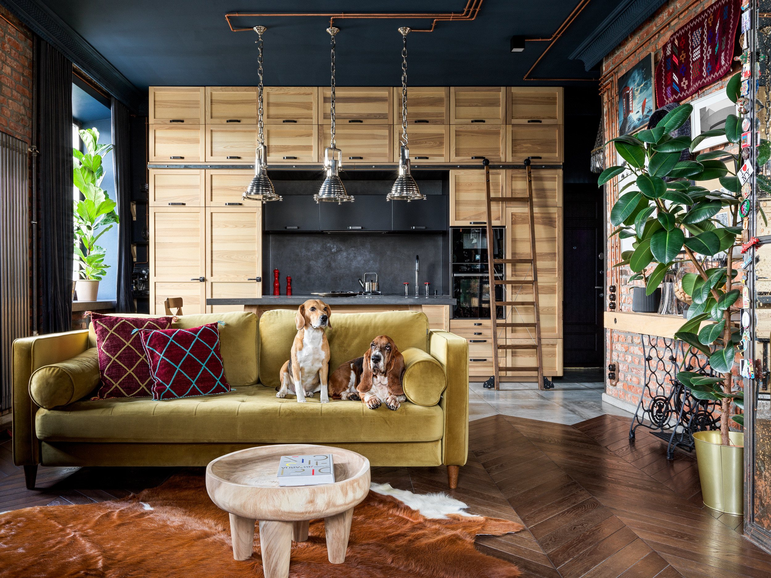 Houzz тур: Лофт в Петербурге с домиком для собак