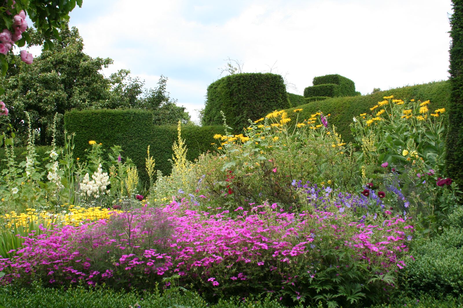 Миксбордер. Основные правила формирования цветочных композиций