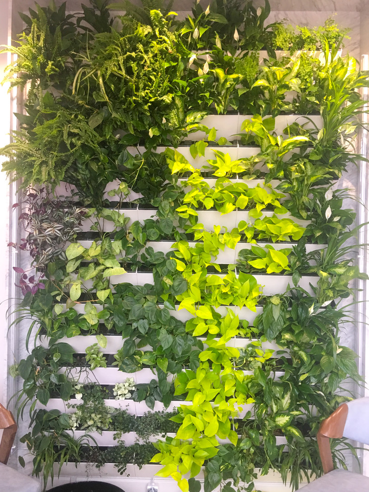 Обложка проекта: Зеленая живая стена