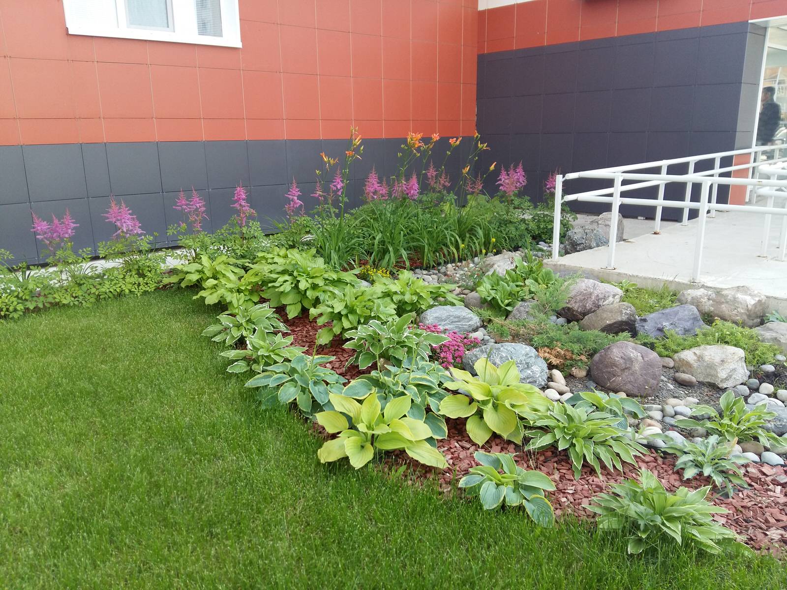 Обложка проекта: Красота у подъезда