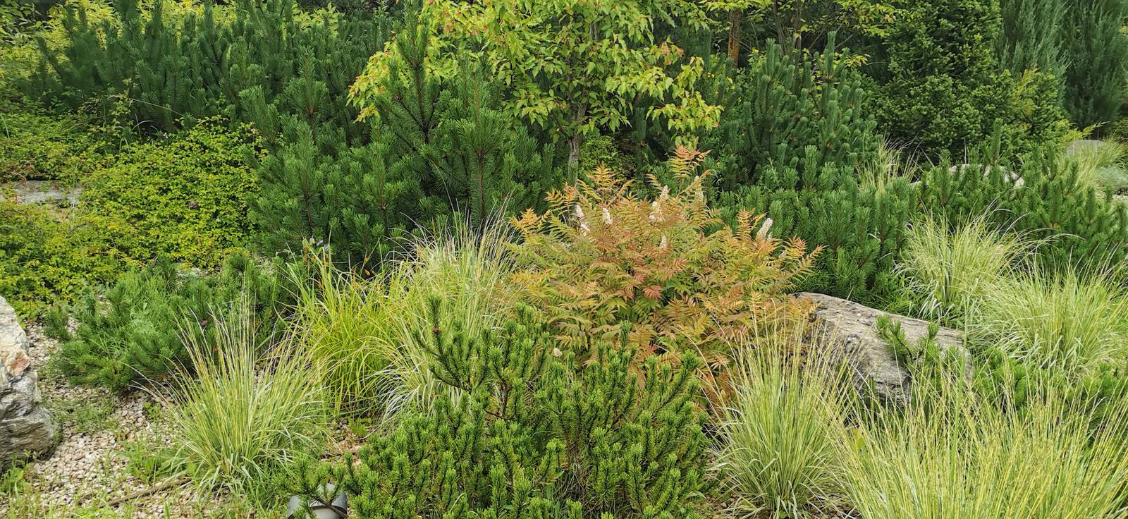 Лесное озеро