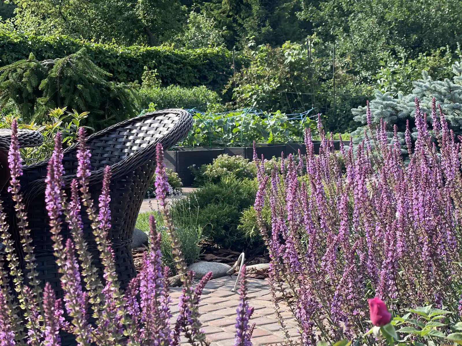 «ШЕРШЕ-ЛЯ-ФАМ»