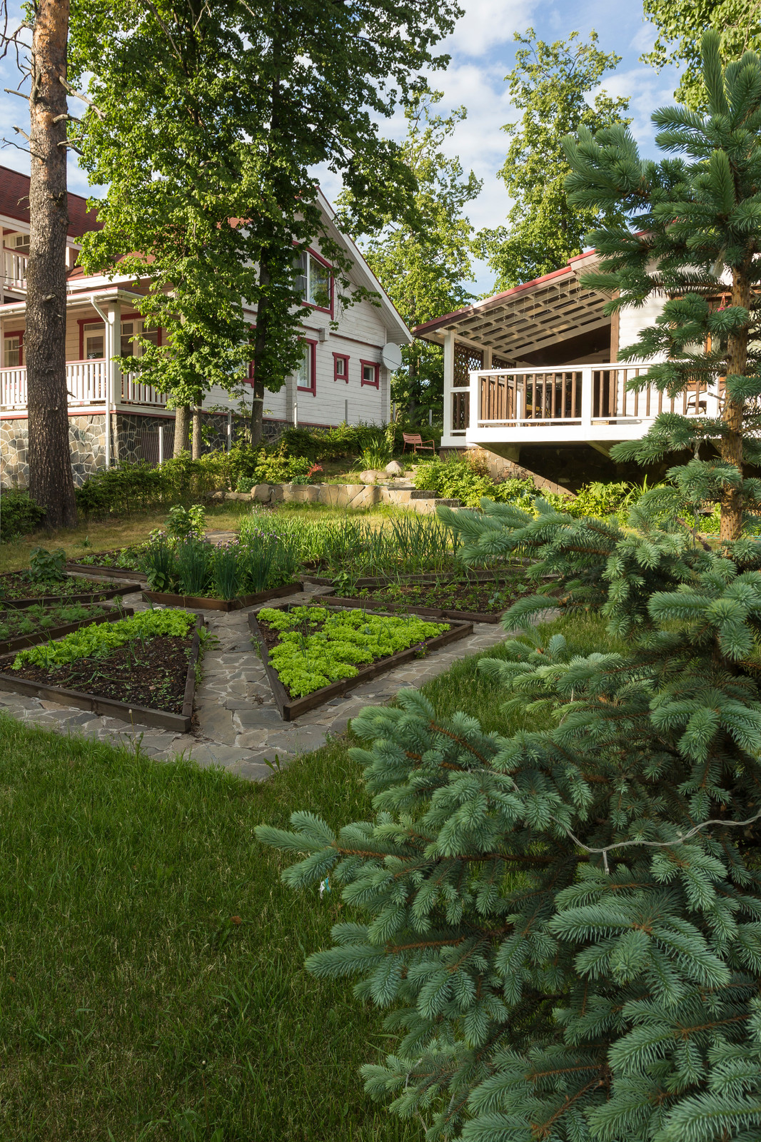 Ландшафт участка загородного дома (Маткачи)