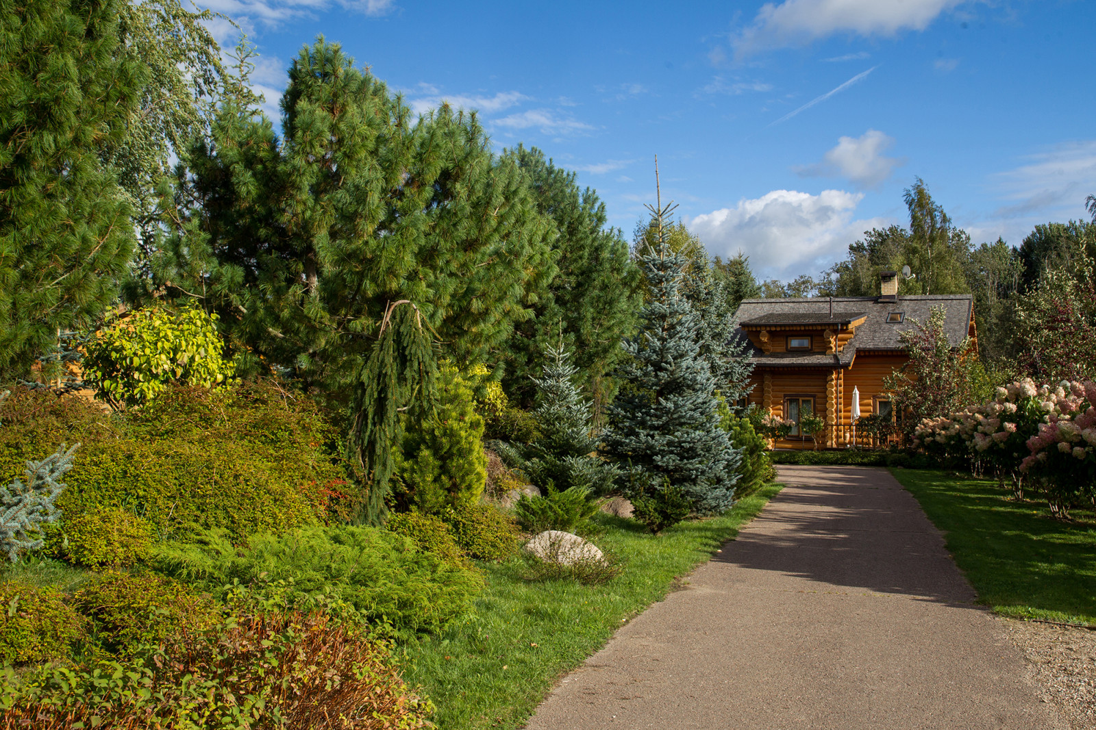 Парк в  Шаховском районе