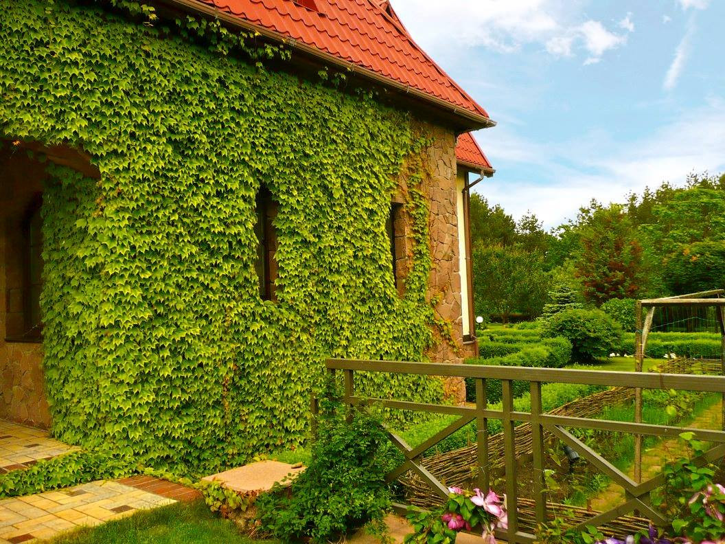 Игра на контрасте в ландшафтном проекте сада