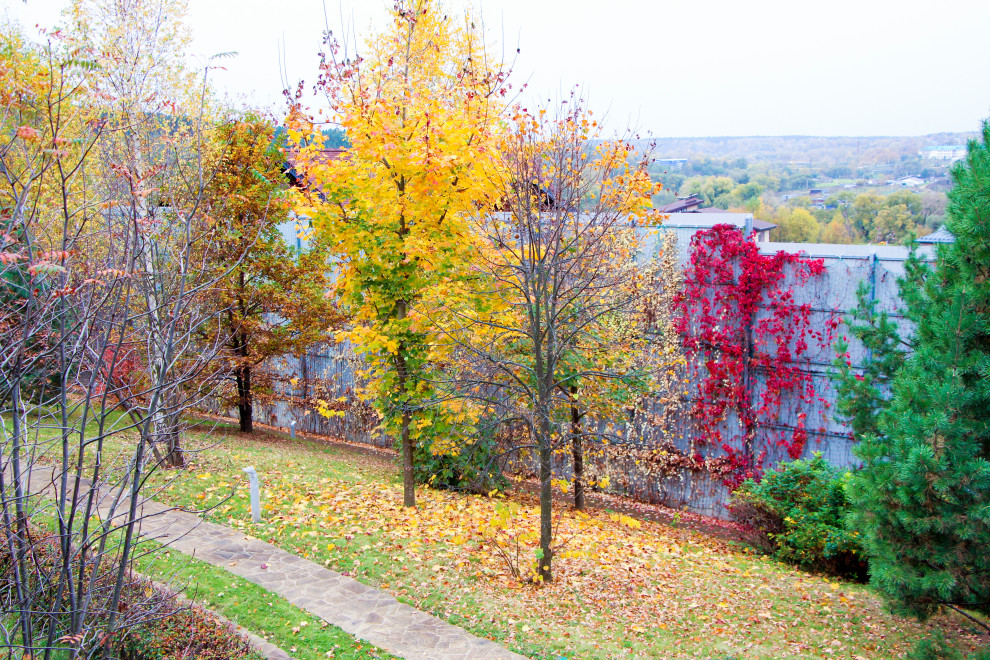 Лобаново, 2012-2021 гг.