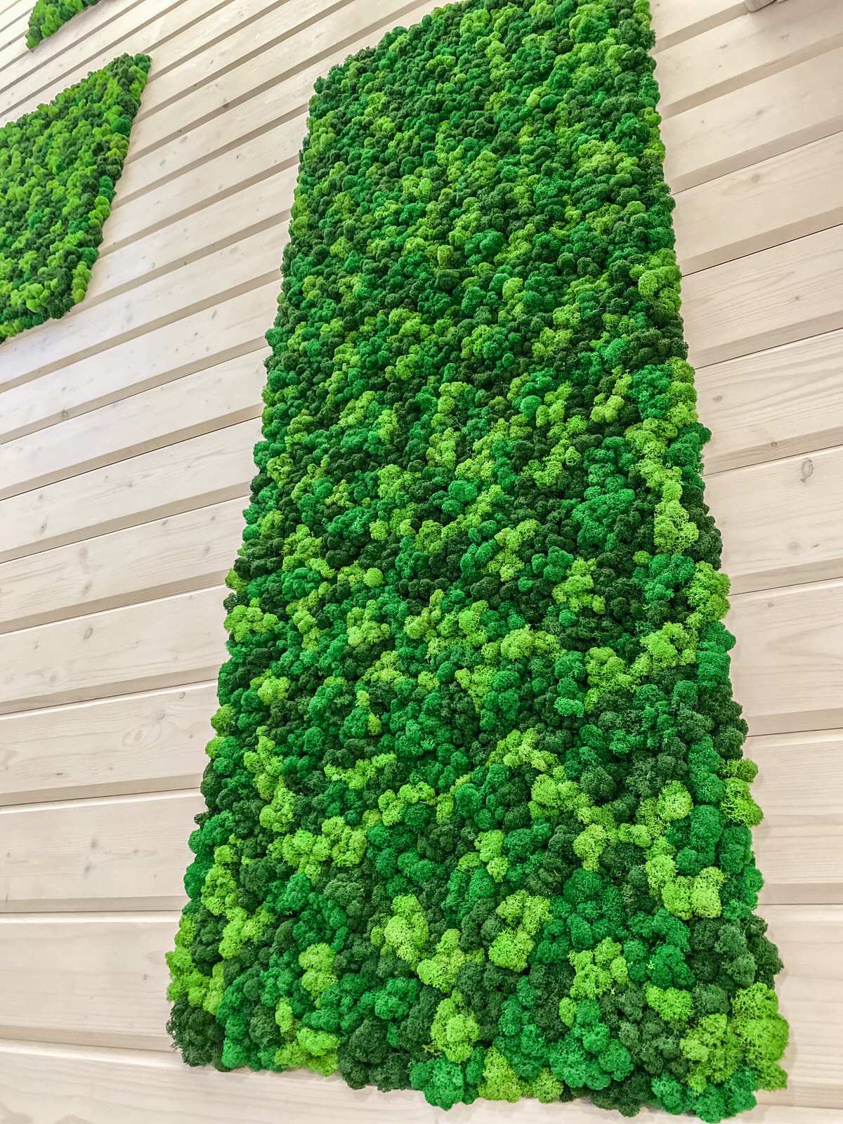 Частный дом