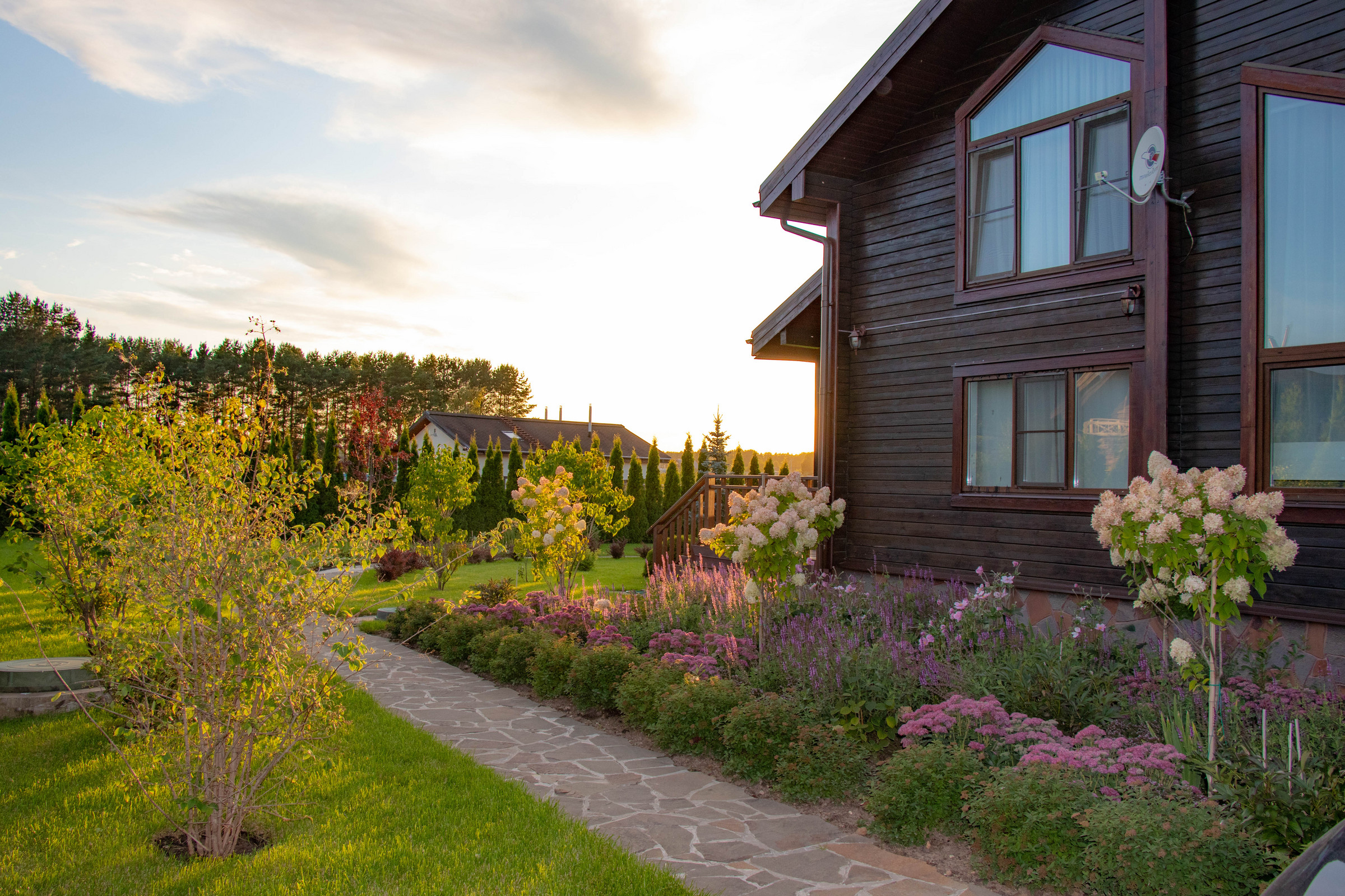 Сосновые берега