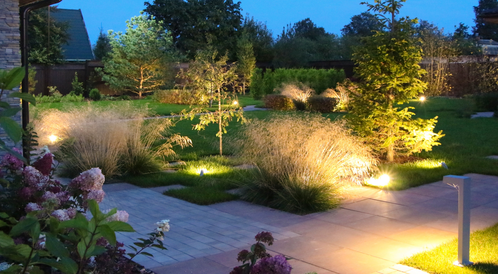 Петровское, ночной сад, 2018-2020 гг.