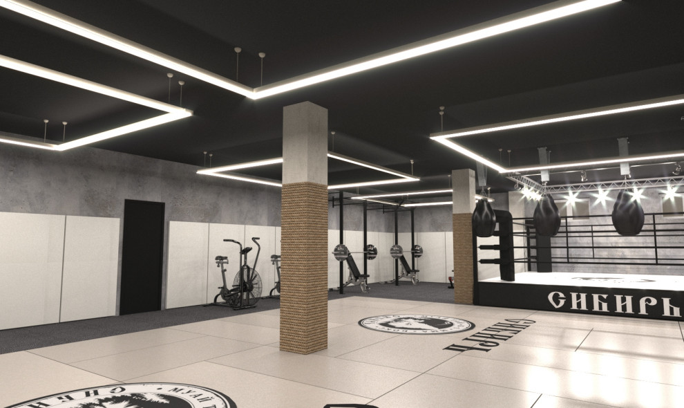 Дизайн проект спортивного клуба "Сибирь"