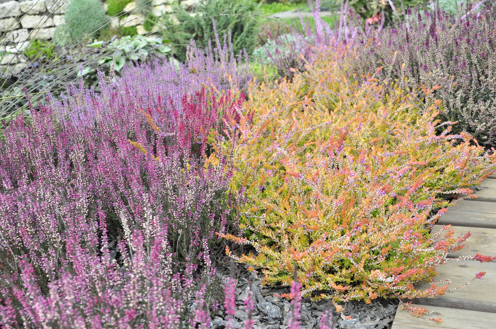 д. Коровино - Уход за садом - 100% качество