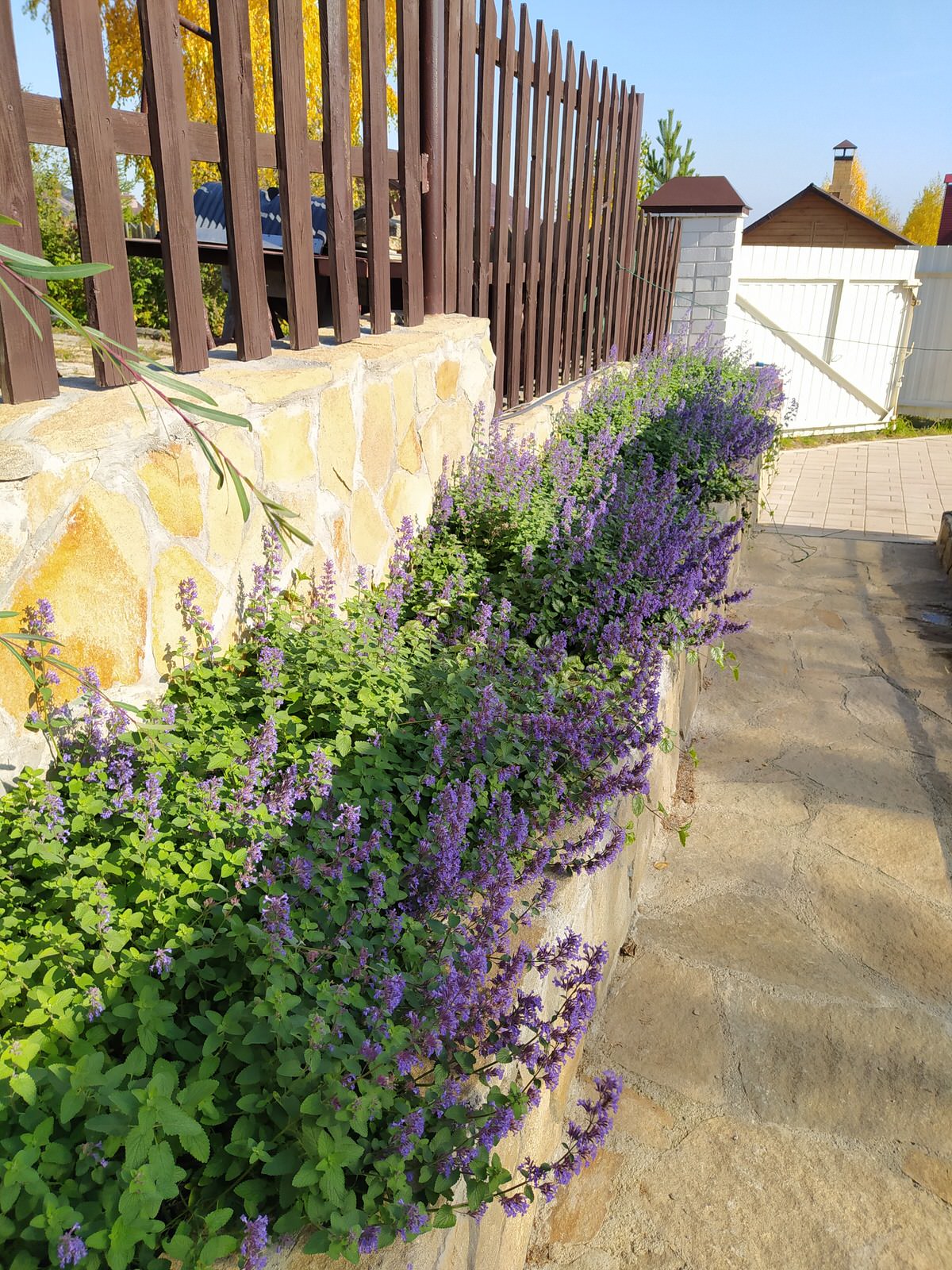 Токарево15 соток,