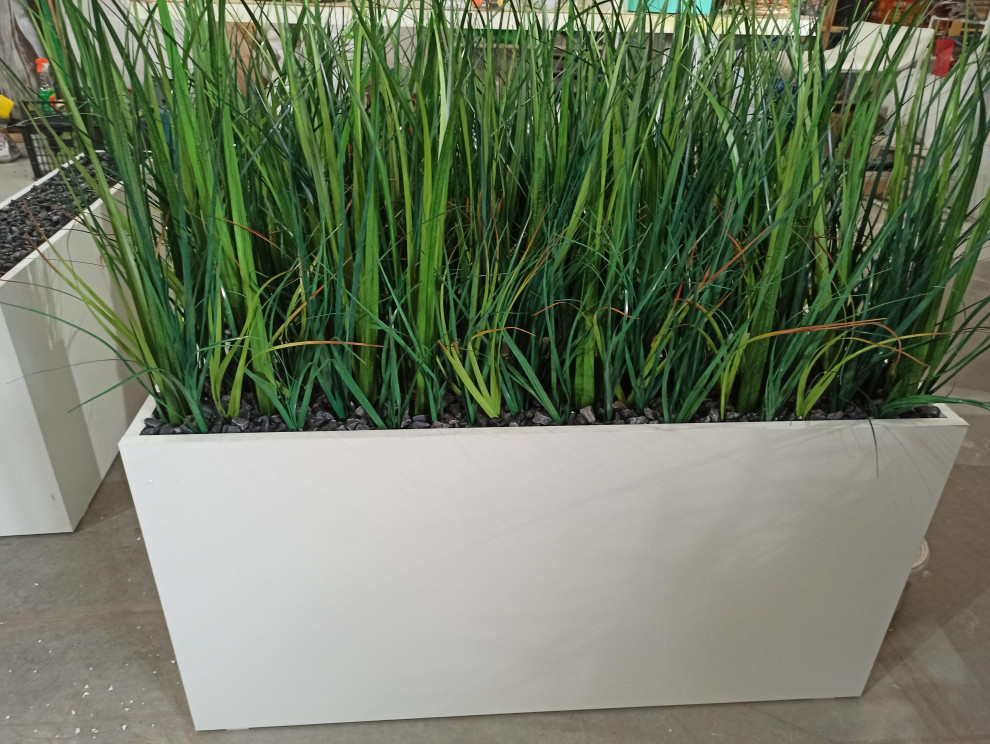 Трава осока (контейнерное озеленение)