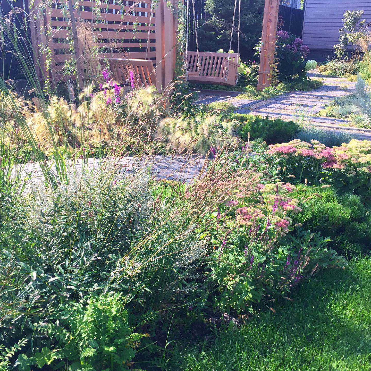 Обложка проекта: Александрово. Первый год жизни