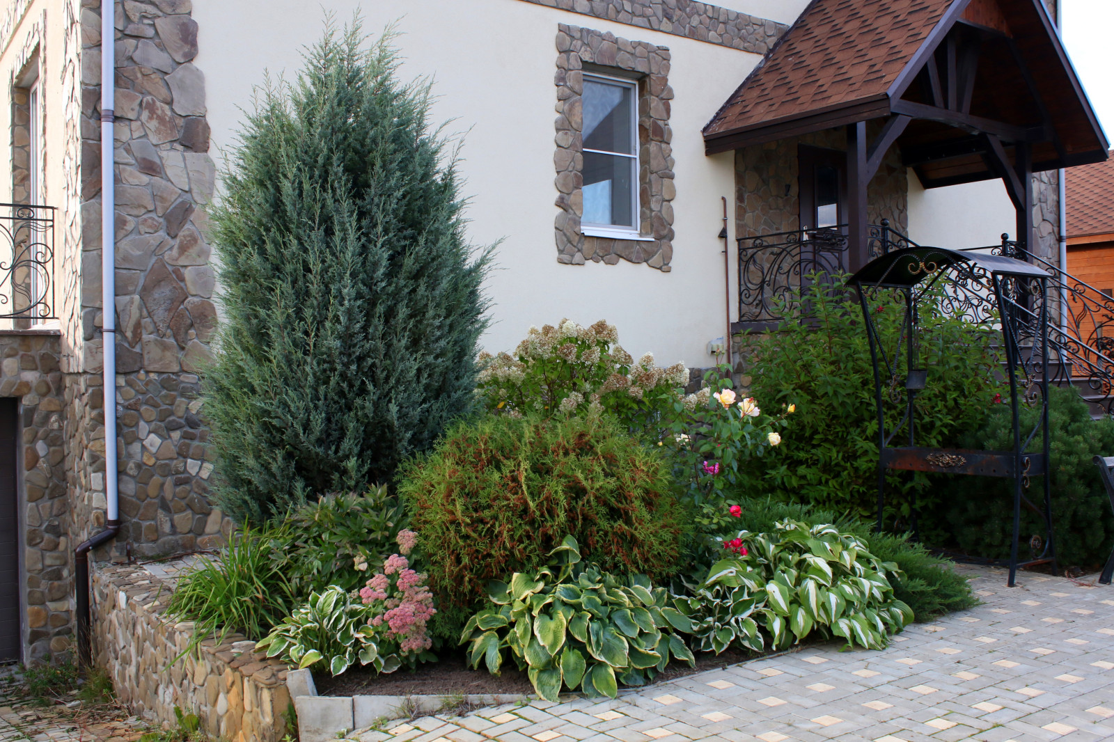 Светлана Батова