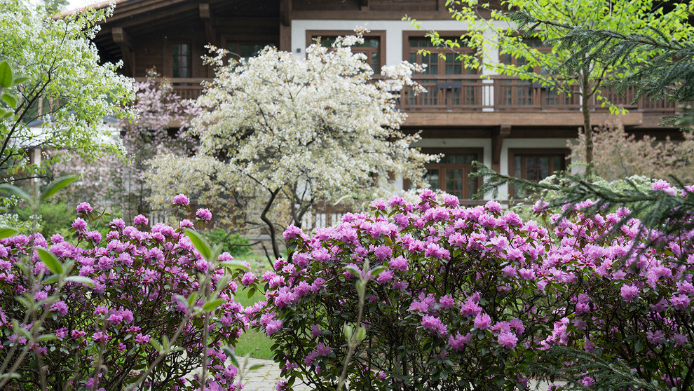 Мечта об Альпах. КП "Вымпел", Новорижское шоссе. 2017 г.