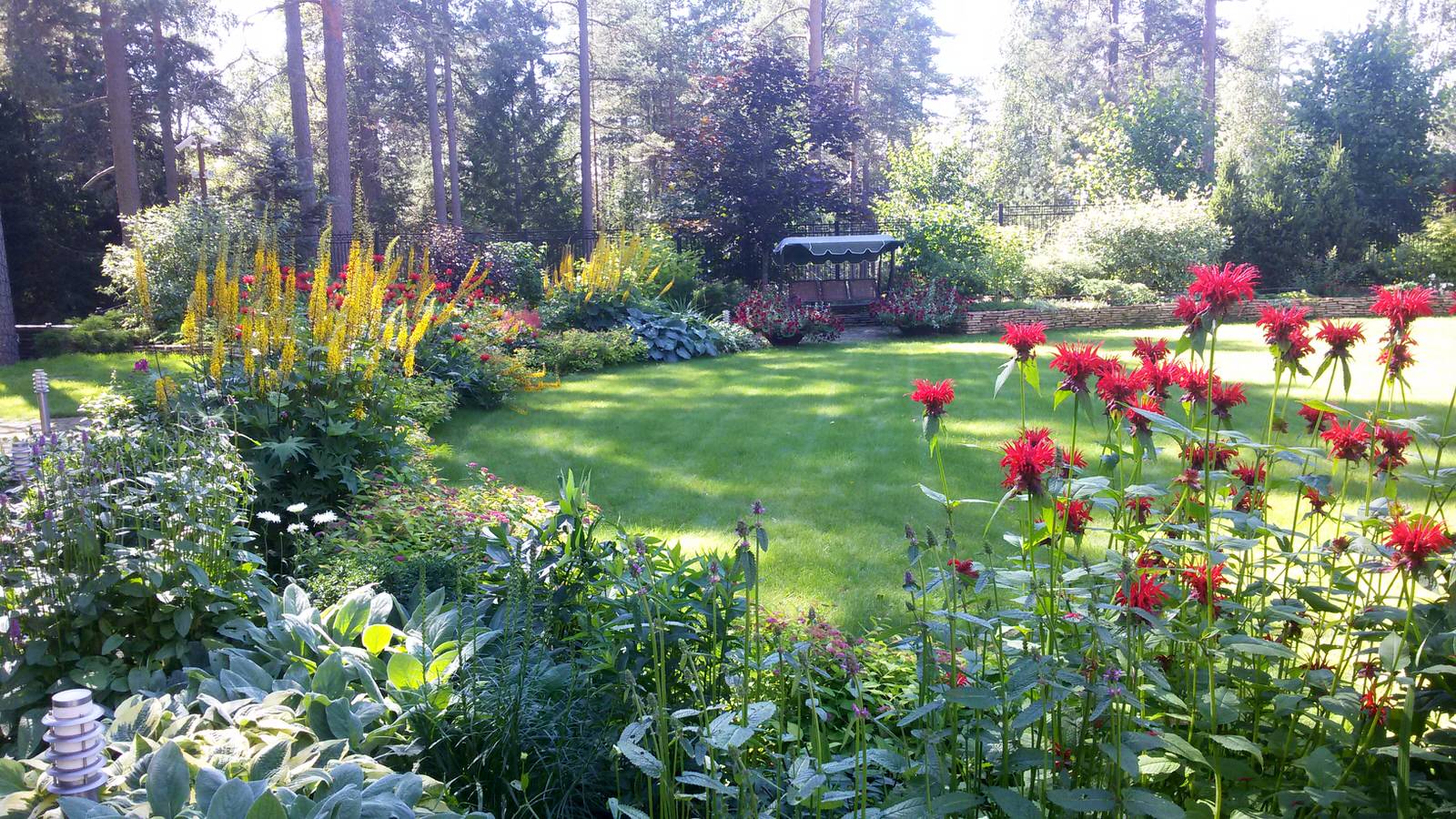 Миксбордер. Сад непрерывного цветения.
