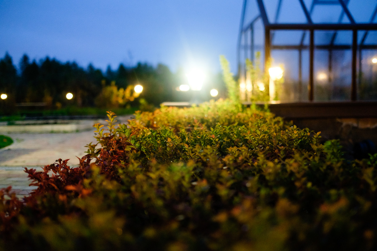 Светодиоды в ландшафте